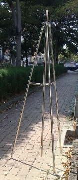 ANT-12